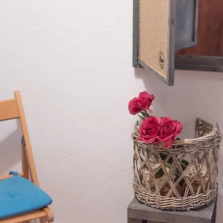 Sweet Bcn With Terrace Apartment